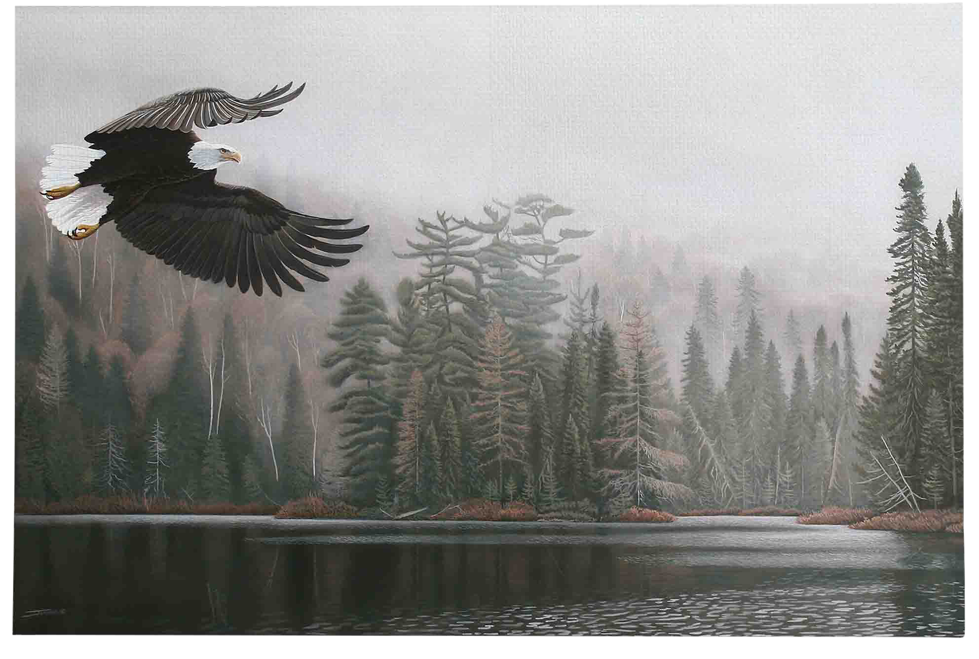 Open Road Brands Jammer Eagle Stretched Canvas Wall Art | Bass Pro Shops